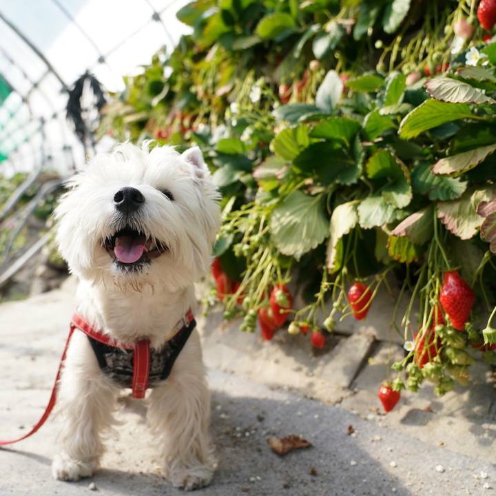 4898c2ad ccb3 4a98 a65d 9ee2d60a0b1b 1521536354802