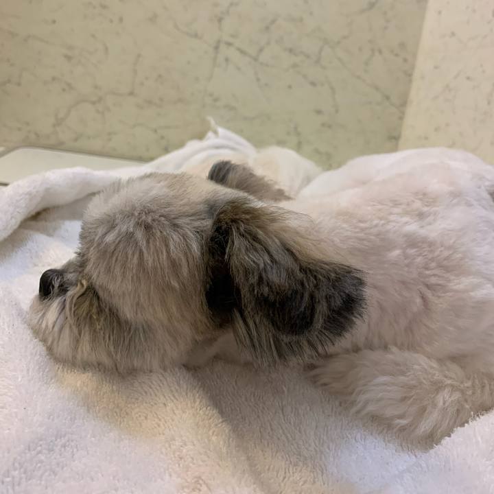 48993f3a d030 495a 8bfb de3764a4eaca 1599832144588