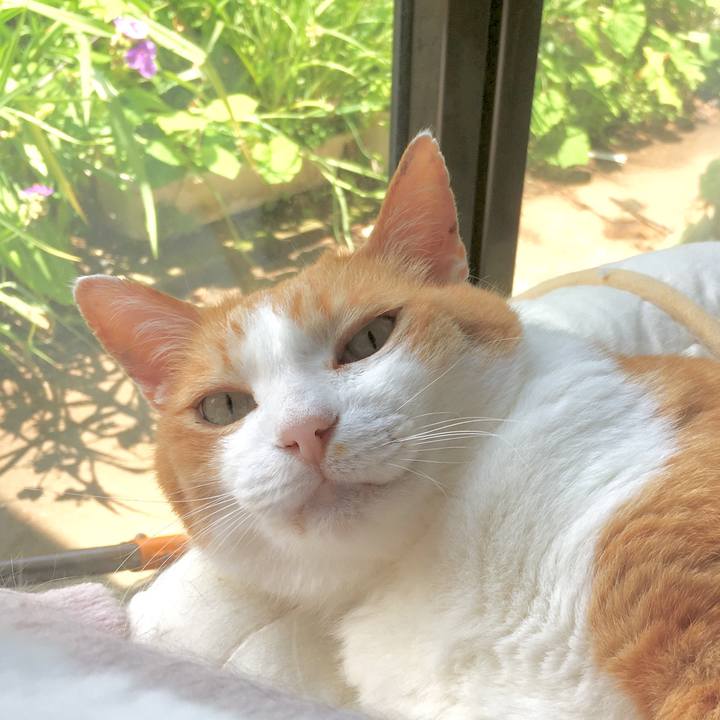 48994959 8295 41dc 9a1e 32061598f4f8 1560999273773