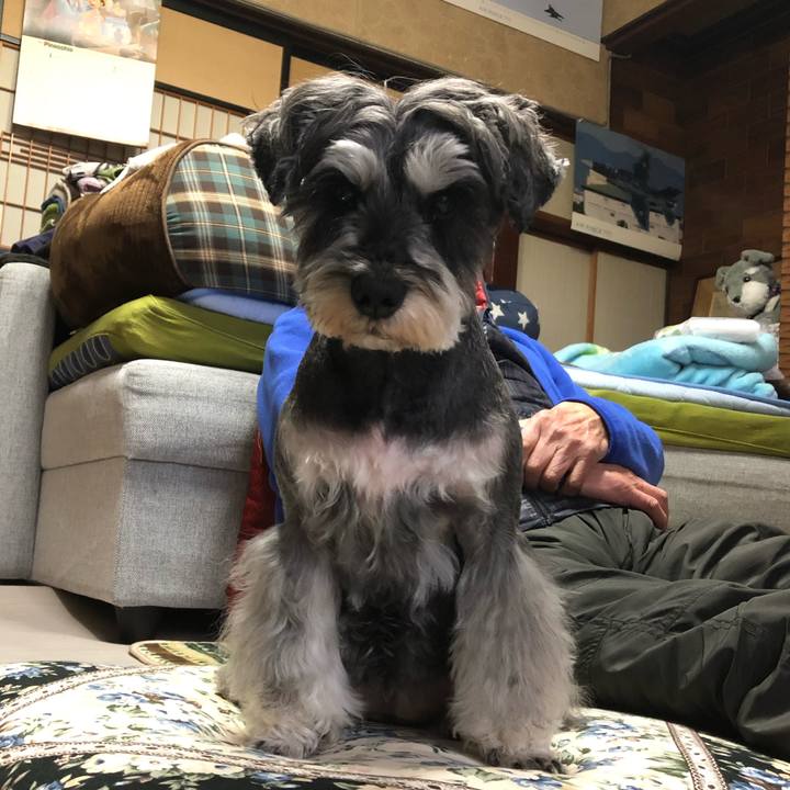 4899be4f 1feb 4e5d b645 57875bb95612 1641707811160