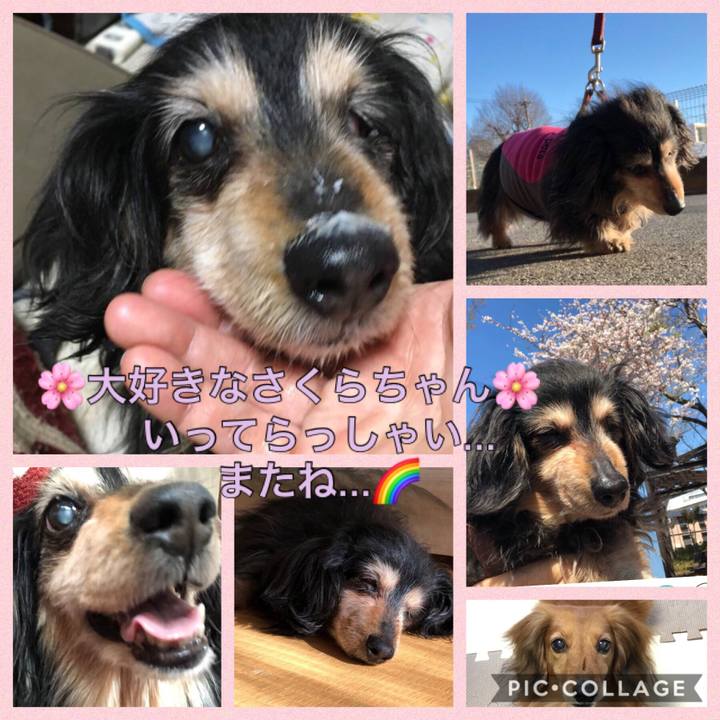 4899db7e 4001 4791 9665 ecfd31b7a0a7 1557579686558