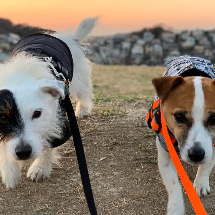 4899fd2f 4bd0 4f65 ac82 310513147b94 1546936302971