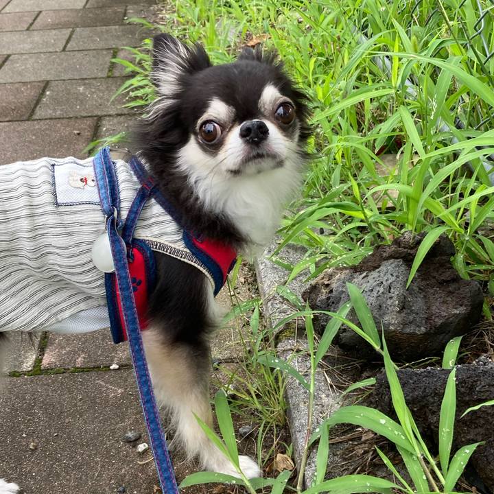 489a06d1 f845 4d80 9c57 971a1363c561 1719679075863