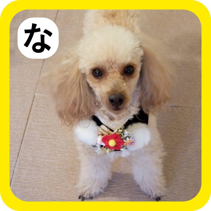 489a329d 3379 401c 96ec 841896b46fa9 1514844074132