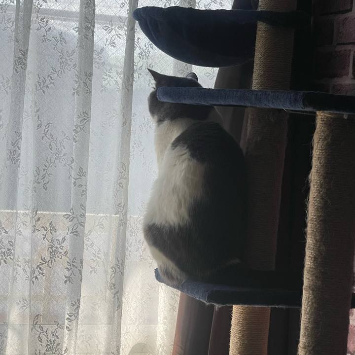 489a6b28 2ffb 4867 92d2 f8b3370a6f32 1742342595311