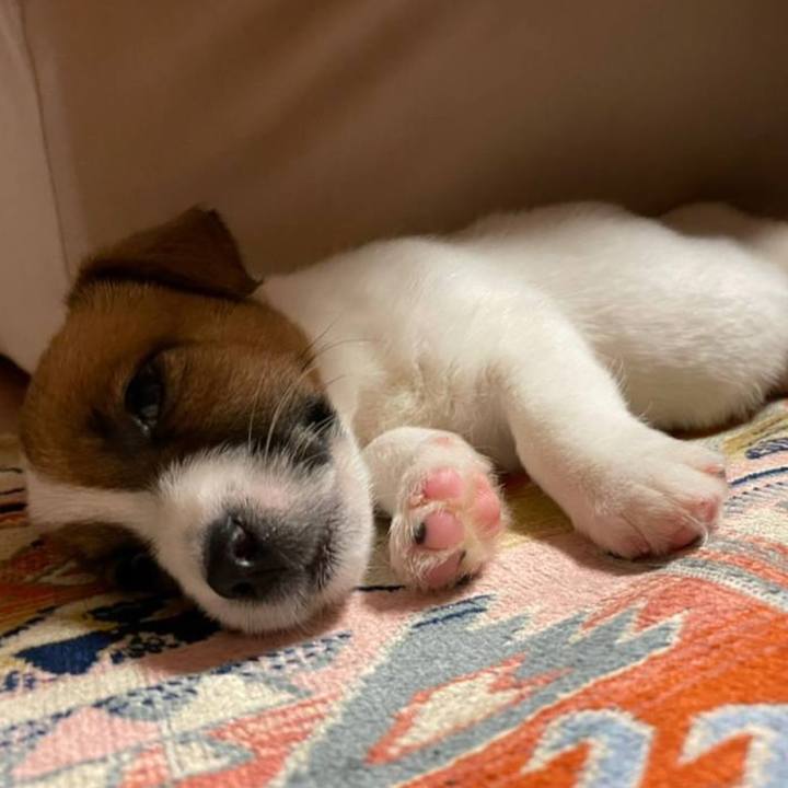 489a7d10 bc5a 4251 9ebe 0b70ab25f506 1772694668558