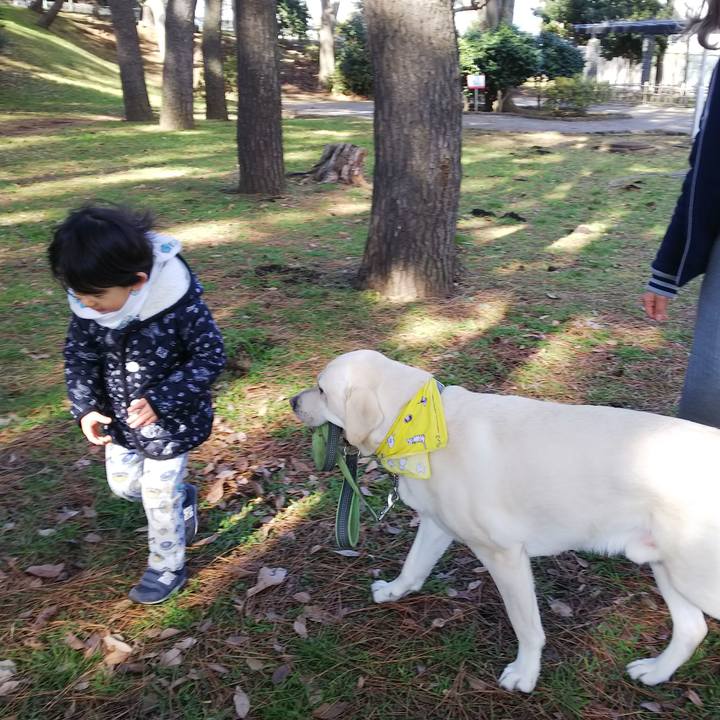 489aaf8e 9699 4298 8ead 2186ddfa80ef 1517799855030