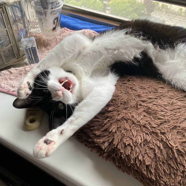 489ab055 387d 4710 8952 9c4e50c64cea 1748582513372