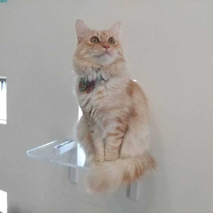 489ab44b ac04 4f31 87fc 57388e1d2cda 1643341827929