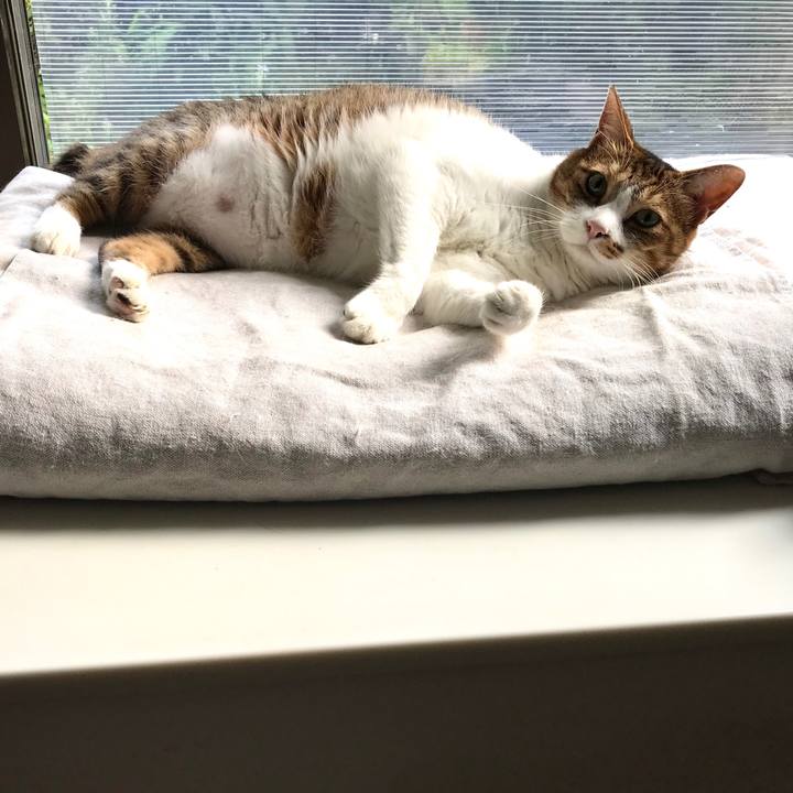 489afcce 89f3 4b16 9b2b 4235504fc314 1597123942691