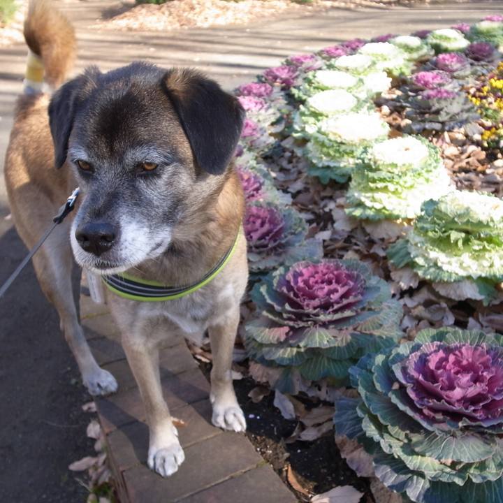 489b03e9 bfb9 4532 a1a6 311bbc6dcbe6 1583798978450