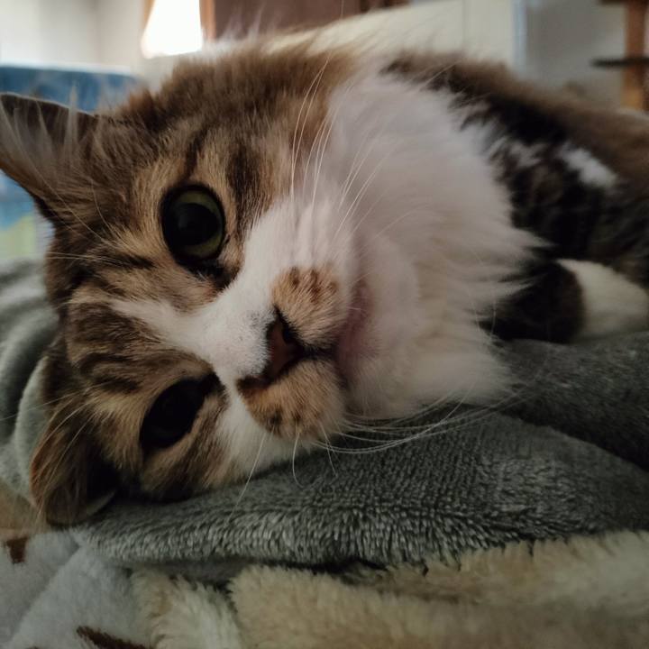 489b31b6 671b 4c60 899a c72185f85f54 1772932243207