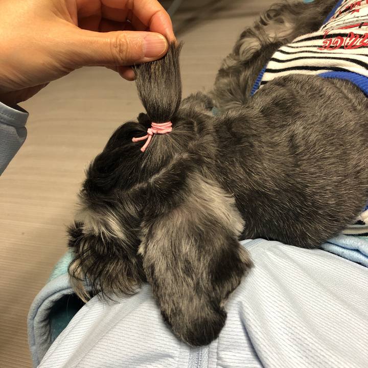 489b3580 8a2c 442e b7ab 6715bb9e73fa 1572609650943