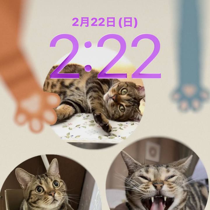 489b4196 f89e 416d a3d2 0184e942a276 1771694720504