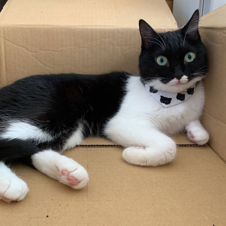 489b96d0 dc40 4ef4 8108 7fc8f1aaa125 1568421857247