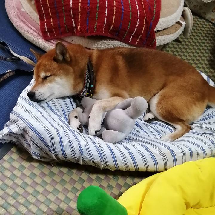 489b997e 313a 4ca1 9ac6 b1afdb0e4388 1662079587873