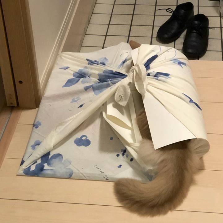 489bb116 6ad5 40fa 8330 1eae8c7fe40a 1573980530121