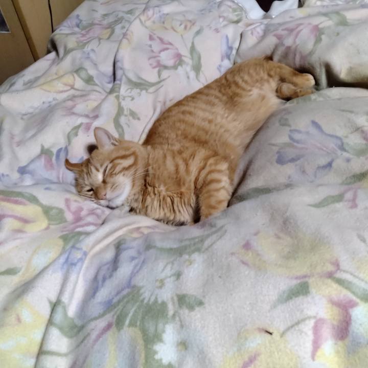 489bf48c ab6c 436a aeba 2b4a486a84cd 1676727050797