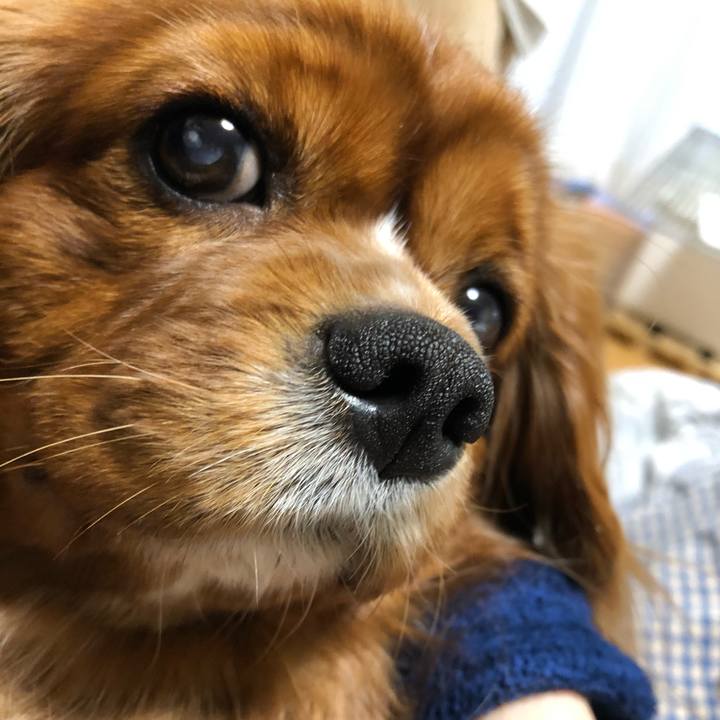 489bfb2f d85d 4026 b3d6 2fda3c982a43 1580250117565