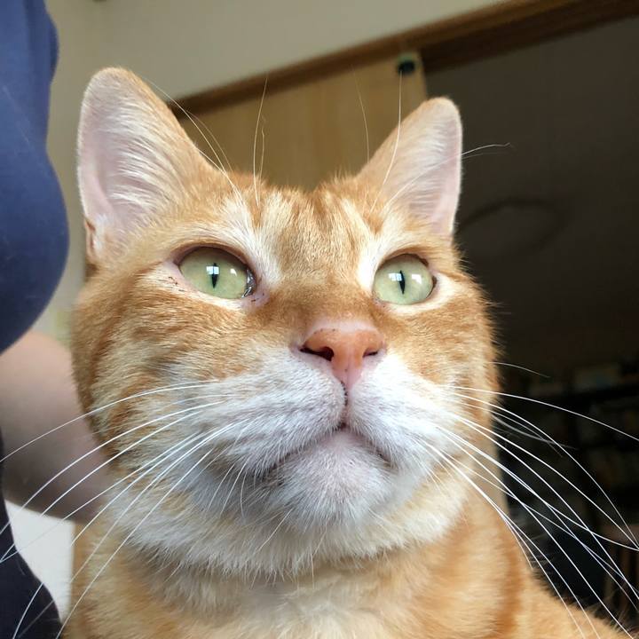 489c1001 2606 4dde b403 e3e4915f6012 1595493252628