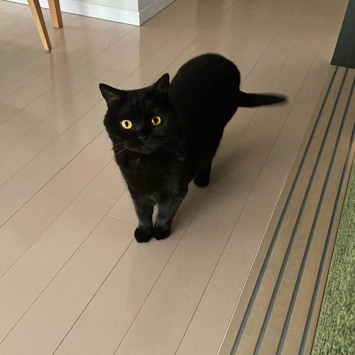 489c1b50 e5b7 4816 8d46 a80f50879af1 1652691593813