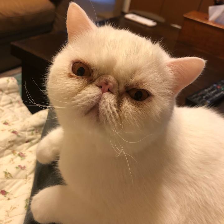 489c3866 cfcc 4f7c 974b b602d94f10ae 1666095801343