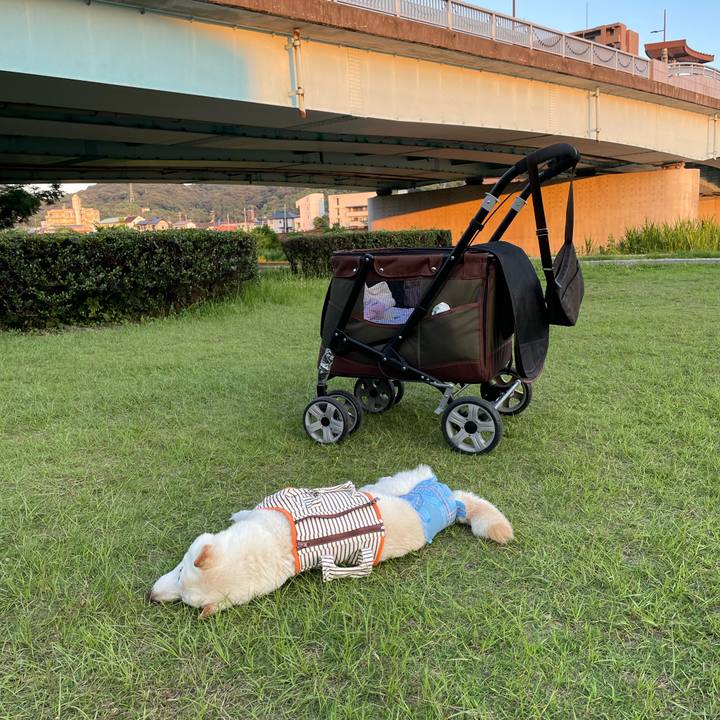 489c4278 c8cc 49c6 866a 8e11356b03f5 1656680057717