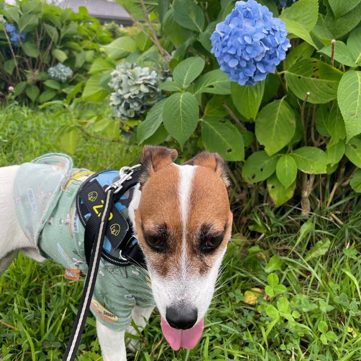 489c6f5c 3fc2 4a3d 91db c20c39418e75 1722941701516