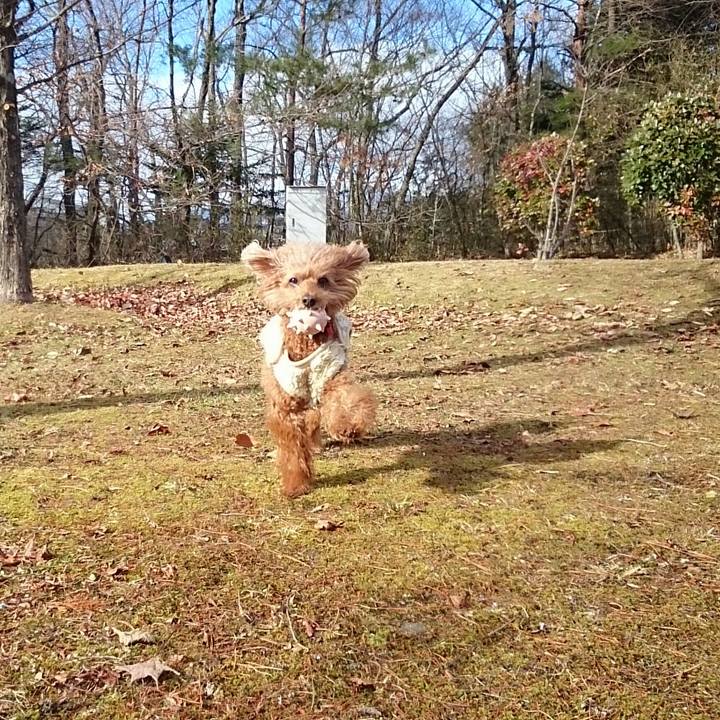 489c7265 b5c2 4c39 8575 241efbcc5c5f 1515281766704