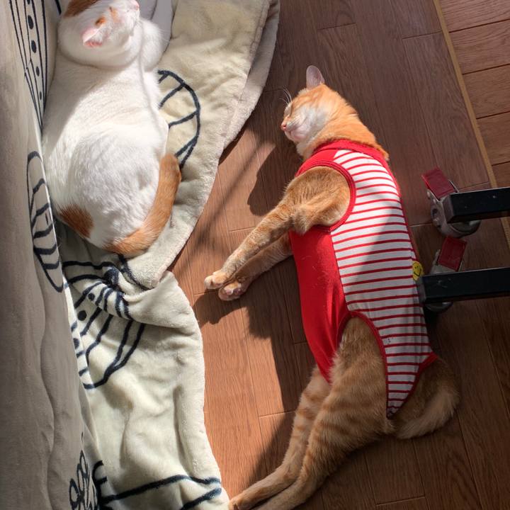 489c754a 9f2e 418b 8a16 b55924773773 1577941793113