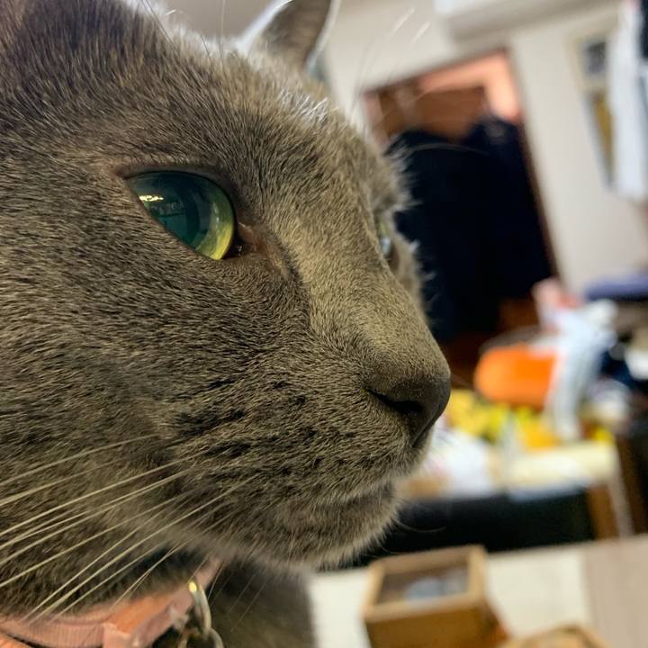 489c8d6e 3e9f 45ba a3da 7370aa8ac1b4 1569038485625