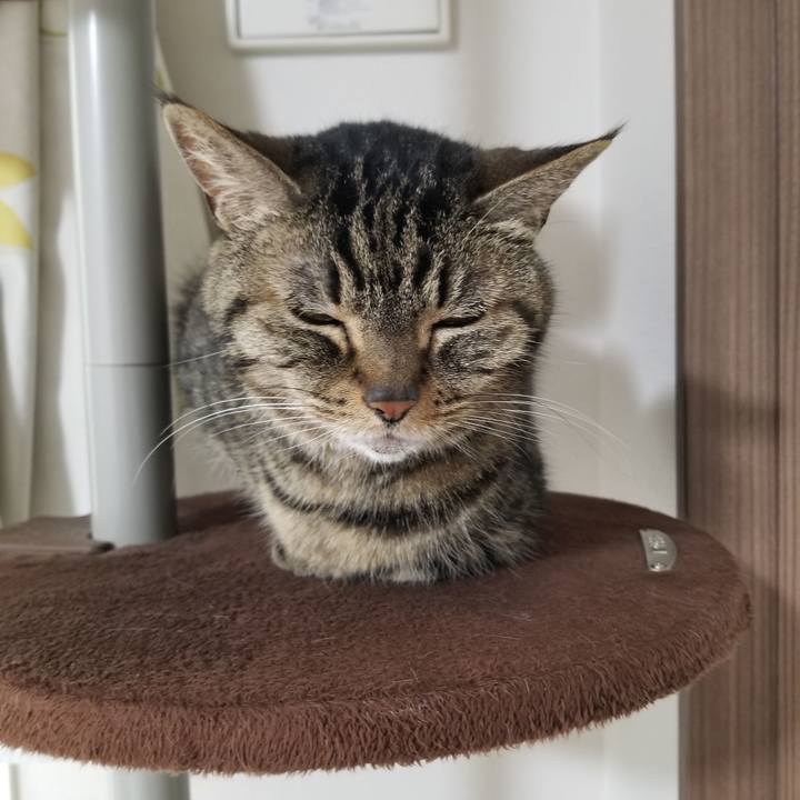 489c97d2 b4dd 4316 934f 97e52643344d 1621640928022