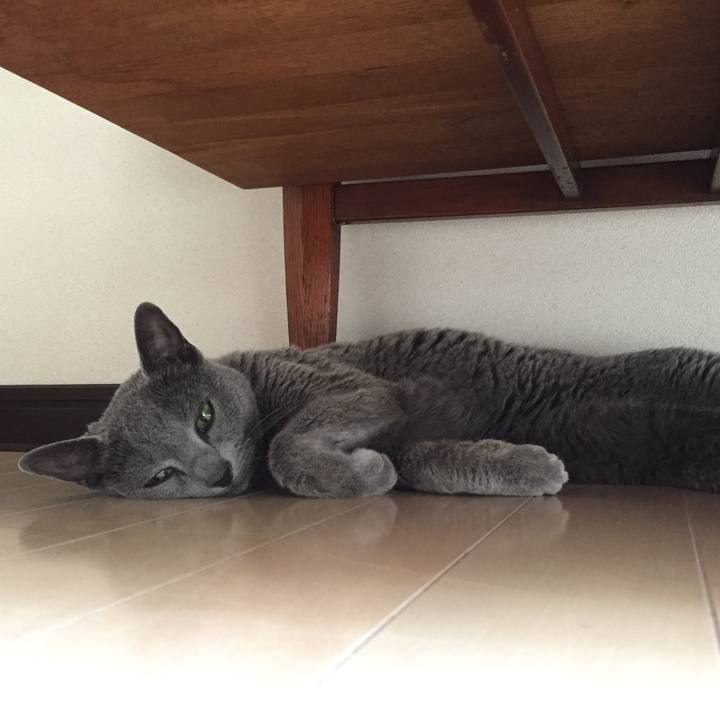 489ca215 f79a 444d a034 2746698d426c 1558853539828