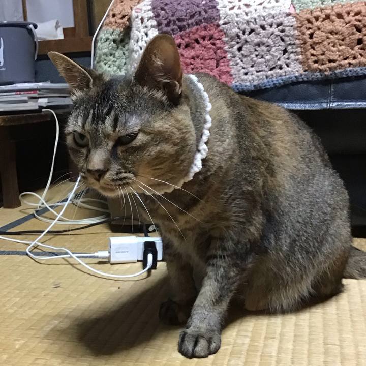 489d166d b7d0 4ab2 9d26 126e115f82e4 1688388515639