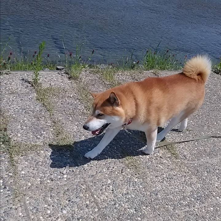 489d8774 1baf 4929 81ac ca473889ba44 1651810783186