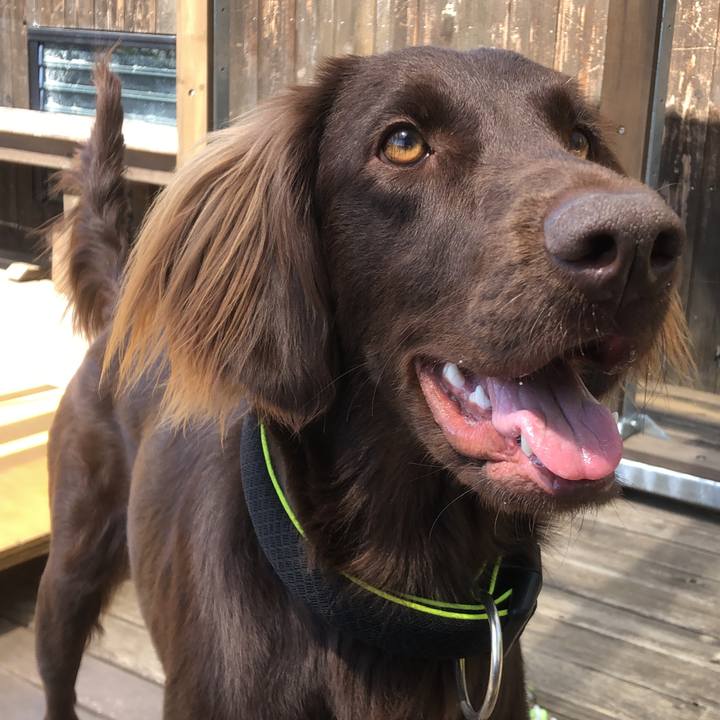 489db1ad a9c0 41e7 a9fe 04e1bd71ddb7 1587618514823