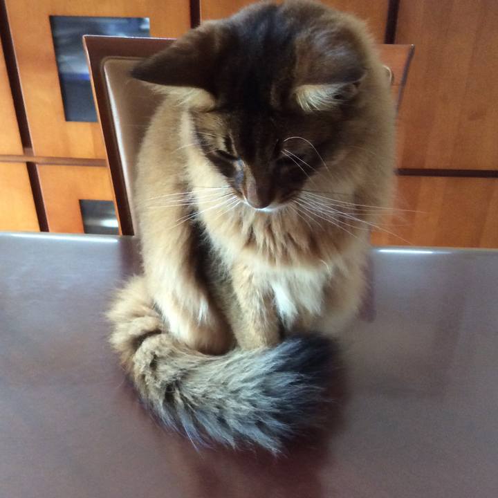 489db1b4 1cd8 4453 a6c5 2ec2832f5bdb 1625449779663