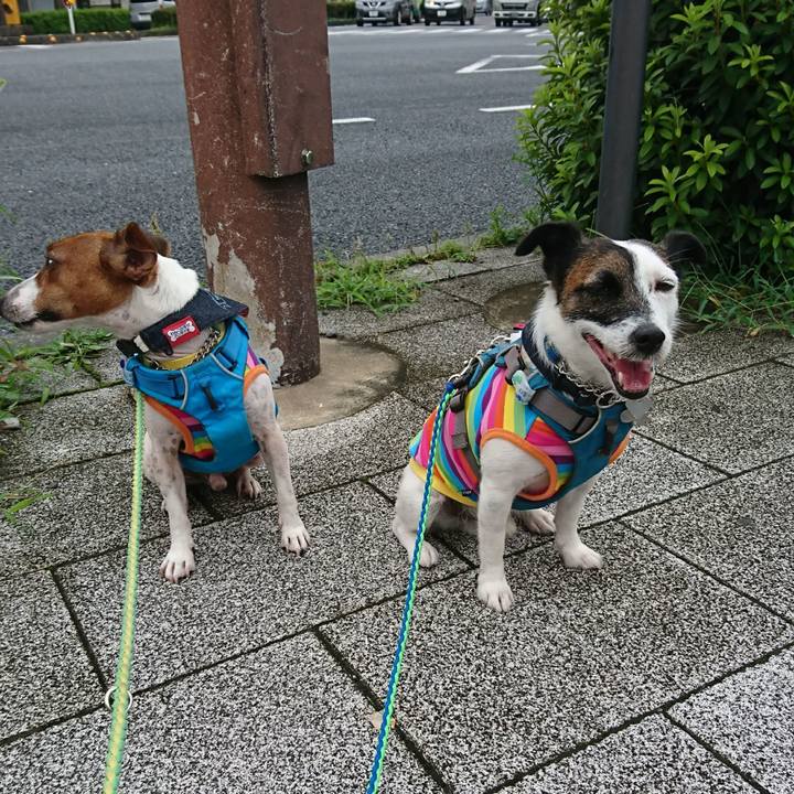 489de508 dc40 4a9c a335 bf3508f8f4af 1596158871365