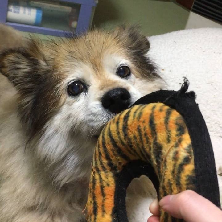 489de6ff d9dc 4a6f 878b 15450a64126e 1591322418897