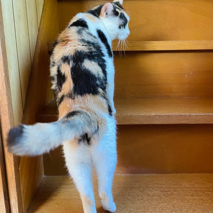 489dee12 b2f1 4231 97b4 e32457a4450e 1628477749799