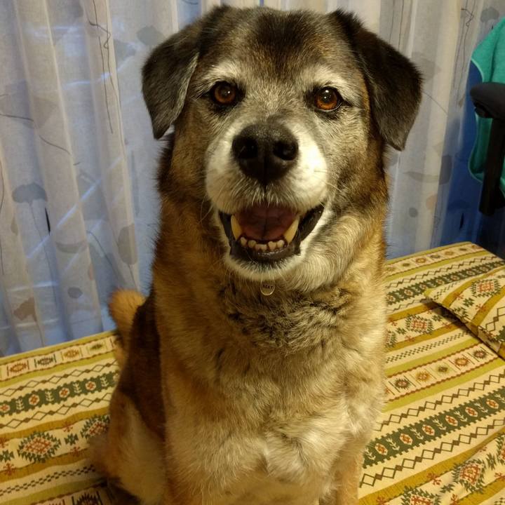 489e3e44 97bb 4d39 b06a c993846754d8 1525256912058