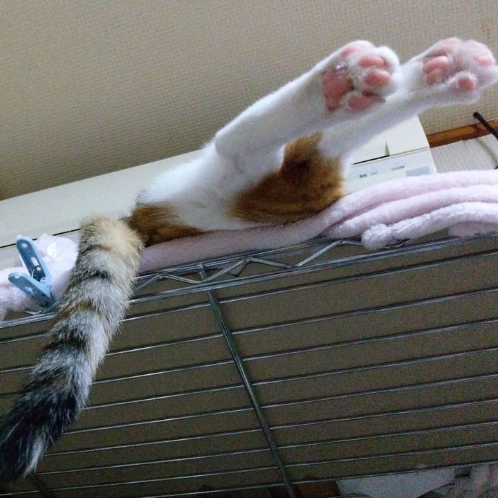 489e5693 e653 488e 8d15 f71ddf427a5a 1548941925223