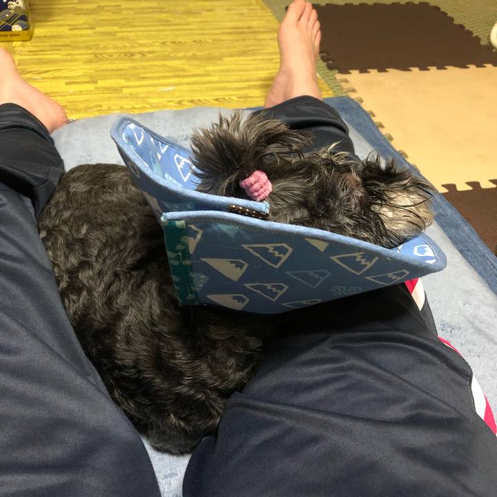 489e589b 01ef 4453 a348 c01ceb7f439f 1685709100886