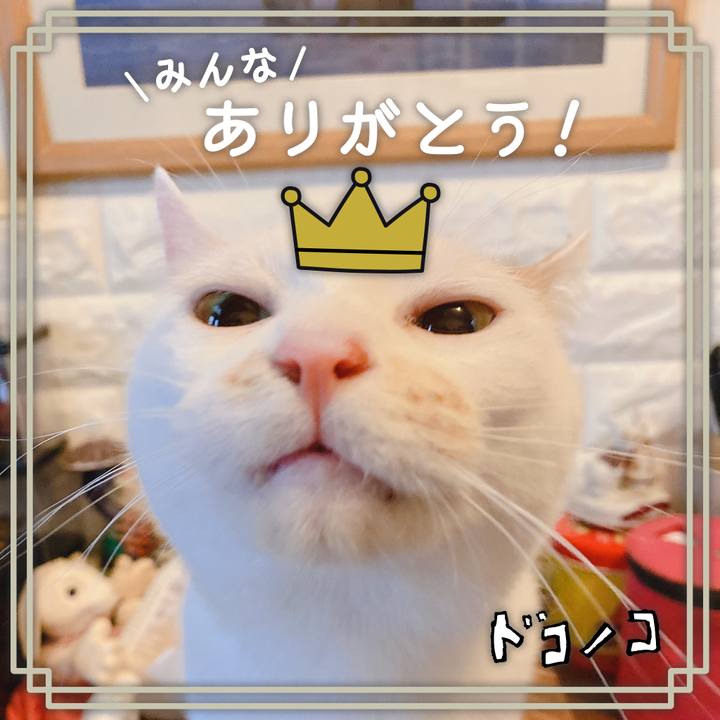 489eaaf4 3415 42b8 806c e968927e53b3 1622866567271