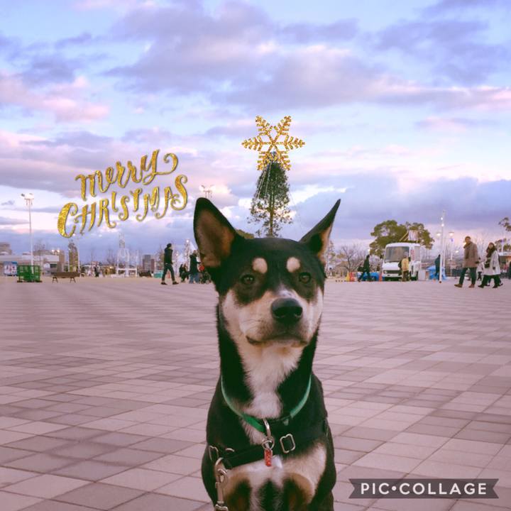 489eb66e 9365 4b86 9438 16ca70138422 1541470780193