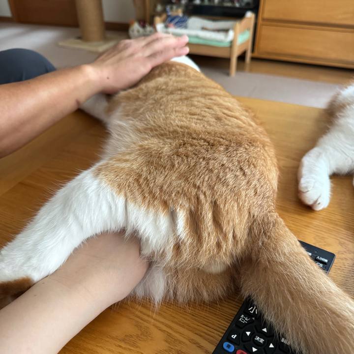 489ed6a2 543a 4330 a4f9 ed907b4e4d62 1757744301279