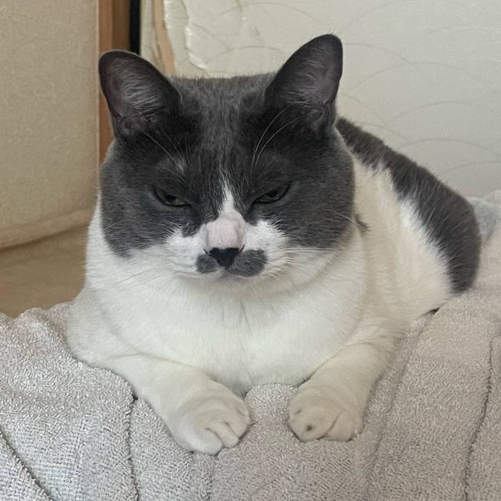 489eed01 a7e8 4b62 9bb7 1b362c9ef52d 1723846679043