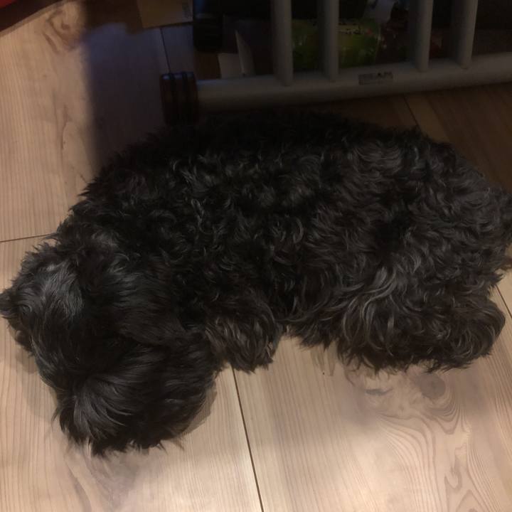 489f30ce 1d80 4937 a888 577e24f4e0c2 1556444970701