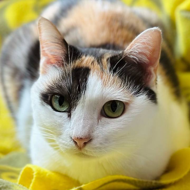 489f3ffe 7c88 402b 9d7d ed7d43c5f176 1664849569213