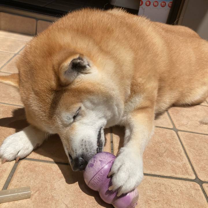 489f4fef 1321 4bd8 a668 10d33d70ceba 1651890986039